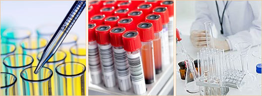 Мед центры в ростове на дону анализ крови thumbnail
