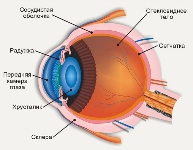 Операция по замене хрусталика глаза